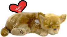 Load image into Gallery viewer, Perfect Petzzz Original Petzzz Chihuahua, Realistic, Lifelike Stuffed Interactive Pet Toy, Companion Pet Dog with 100% Handcrafted Synthetic Fur