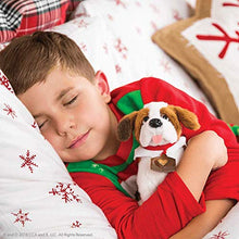 Load image into Gallery viewer, Elf on the Shelf Set: Light Tone Boy Elf, Totally Tubular, St. Bernard,St. Bernards DVD &amp; SEAP Kit
