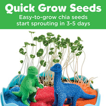Load image into Gallery viewer, Creativity for Kids Mini Garden: Dinosaur Terrarium - Arts and Crafts for Boys and Girls Ages 6-8+