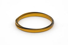 Load image into Gallery viewer, Mozi Sensory Spring Fidget Toy, Black &amp; Gold