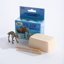 Load image into Gallery viewer, GeoCentral Mini Excavation Kit: Ice Age Animals