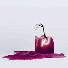 Load image into Gallery viewer, PyroPet Kisa Candle: Burgundy - Unscented