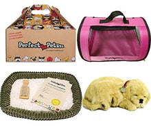 Load image into Gallery viewer, Perfect Petzzz Golden Retriever Plush with Pink Tote For Plush Breathing Pet