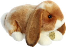 Load image into Gallery viewer, Aurora - Miyoni - 9" Holland Lop Rabbit - Tan