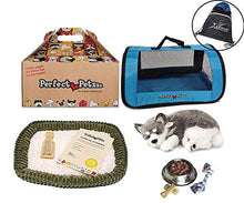 Load image into Gallery viewer, Perfect Petzzz Breathing Plush Husky, Blue Tote, Dog Food, Treats, Chew Toy &amp; Myriads Drawstring Bag