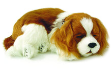 Load image into Gallery viewer, Perfect Petzzz Breathing Cavalier King Charles Plush Dog, Blue Tote, Dog Food, Treats, Chew Toy, Bag