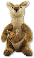 Load image into Gallery viewer, Hug A Kangaroo Kit