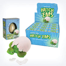 Load image into Gallery viewer, GeoCentral HATCH'EMS TORTOISE EGGS