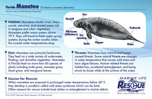Load image into Gallery viewer, Marine Life Rescue Project Manatee in Rescue Stretcher Plush