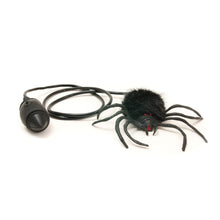 Load image into Gallery viewer, Lord Phartwell's Hairy Scary Jumping Spider