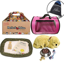 Load image into Gallery viewer, Perfect Petzzz Golden Retriever Plush with Pink Tote For Plush Breathing Pet, Dog Food, Treats, Chew Toy and Drawstring Bag