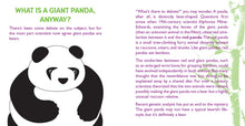 Load image into Gallery viewer, Hug A Panda Rescue Kit