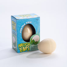 Load image into Gallery viewer, GeoCentral HATCH'EMS TORTOISE EGGS