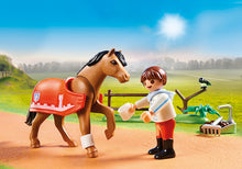 Load image into Gallery viewer, PLAYMOBIL Country Collectible Connemara Pony