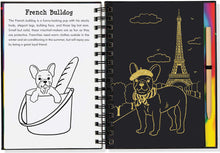 Load image into Gallery viewer, Scratch and Sketch - Puppies: An Art Activity Book