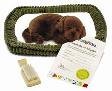 Load image into Gallery viewer, Perfect Petzzz Original Chocolate Lab Realistic Lifelike Stuffed Interactive Pet Toy Dog