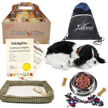 Load image into Gallery viewer, Perfect Petzzz Breathing Cocker Spaniel Pet Set, with Dog Food, Treats, Chew Toy &amp; Drawstring Bag