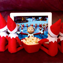 Load image into Gallery viewer, An Elf's Story DVD