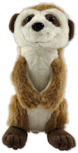 Load image into Gallery viewer, Hug A Meerkat Kit
