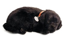 Load image into Gallery viewer, Perfect Petzzz Plush Black Lab Breathing Puppy Dog with Blue Tote For Plush Breathing Pet