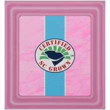 Load image into Gallery viewer, Charleston Tea Garden Rockville Raspberry Pyramid Teabags, 12 Count