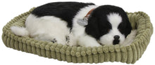 Load image into Gallery viewer, Perfect Petzzz Border Collie Breathing Pet and Blue Tote for Plush Breathing Pet