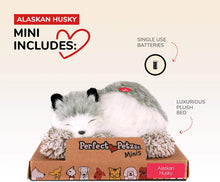 Load image into Gallery viewer, Perfect Petzzz Mini Baby Alaskan Husky Puppy Dog