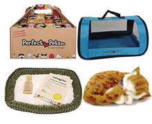 Load image into Gallery viewer, Perfect Petzzz Orange Tabby Soft Toy with Blue Tote For Plush Breathing Pet