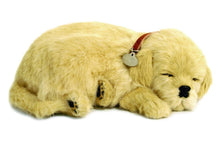 Load image into Gallery viewer, Perfect Petzzz Golden Retriever Dog and Golden Retriever Puppy with Food and a Myriads Drawstring Bag
