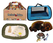 Load image into Gallery viewer, Perfect Petzzz Chocolate Lab Plush with Blue Tote For Plush Breathing Pet and Dog Food, Treats, and Chew Toy