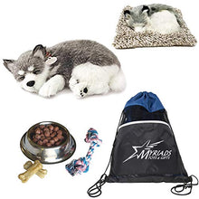 Load image into Gallery viewer, Perfect Petzzz Alaskan Husky Dog and Alaskan Husky Puppy with Food, and Myriads Drawstring Bag