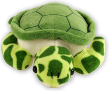 Load image into Gallery viewer, Hug A Sea Turtle Kit