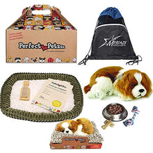 Load image into Gallery viewer, Perfect Petzzz Cavalier King Charles Dog with Cavalier King Charles Puppy and Food, with Myriads Drawstring Bag