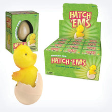 Load image into Gallery viewer, GeoCentral Chicken Eggs (Hatch'ems)