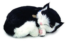 Load image into Gallery viewer, Perfect Petzzz Black and White Shorthair Kitten Plush with Pink Tote For Plush Breathing Pet