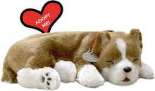Load image into Gallery viewer, Perfect Petzzz Original Petzzz Pit Bull Realistic, Lifelike Stuffed Interactive Pet Toy, Companion Pet Dog with 100% Handcrafted Synthetic Fur