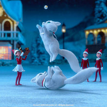 Load image into Gallery viewer, The Elf on the Shelf Family Night Activity Set of 4: Night Before Christmas, A Christmas Storybook Collection, Santa's North Pole Friends: Activity Book, and Elf Pets: A Holiday Triple Feature DVD