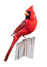 Load image into Gallery viewer, Madd Capp I AM CARDINAL Bird-Shaped Jigsaw Puzzle, 300 Pieces