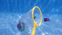 Load image into Gallery viewer, Swimline Catch The Fish Pool Game