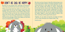 Load image into Gallery viewer, Peter Pauper Press Hug A Bunny Kit - Plush Toy Rabbit and Book