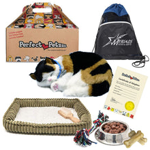 Load image into Gallery viewer, Perfect Petzzz Breathing Plush Calico Cat with Food, Treats, Chew Toy &amp; Myriads Drawstring Bag