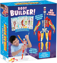 Load image into Gallery viewer, Be Amazing! Toys Interactive Human Body Fully Poseable Anatomy Figure – 14” Tall Human Body Model for Kids - Anatomy Kit – Removable Muscles, Organs and Bones STEM Kids Anatomy Toy – Ages 8+