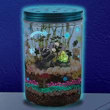 Load image into Gallery viewer, Creativity for Kids Grow 'N Glow Terrarium Kit for Kids - Science Activities for Kids (Packaging May Vary)