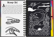 Load image into Gallery viewer, Scratch and Sketch - Coral Reefs: An Art Activity Book