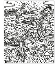 Load image into Gallery viewer, Birds, Magic Painting Book Paperback