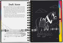 Load image into Gallery viewer, Scratch &amp; Sketch Horses (Trace-Along) Hardcover
